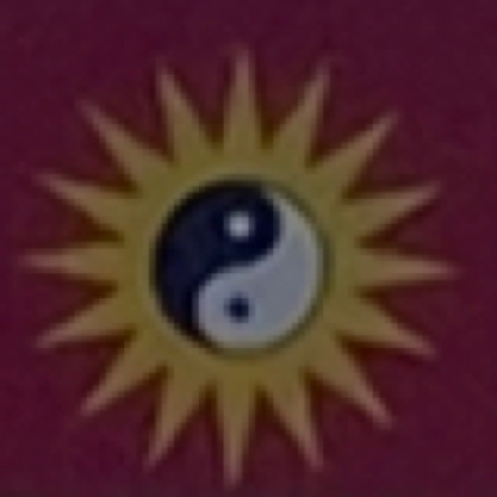 Meet your Posher, Amay